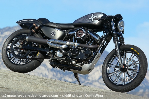 Le Sportster reste une base idéale de prépa, dommage qu'il tire aujourd'hui sa révérence