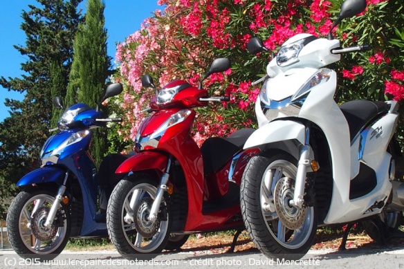 Coloris Honda SH 300i