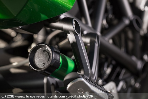 Amortisseur de la Kawasaki H2 SX SE