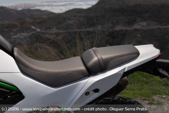 Bien que haute de 870 mm, l'assise reste accessible du fait de sa finesse