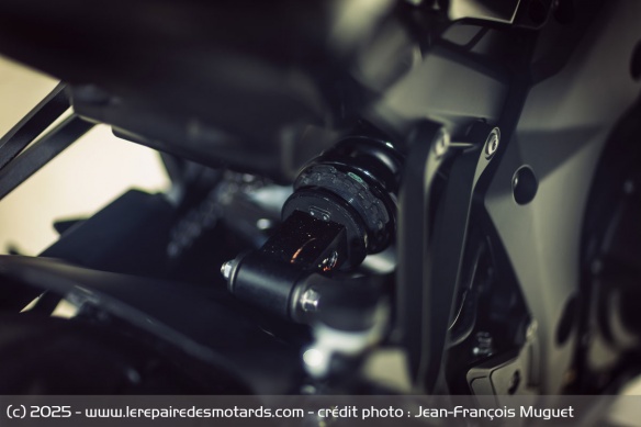 L'amortisseur arrière à montage Back Link