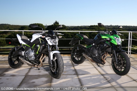 Kawasaki Z650 en vert