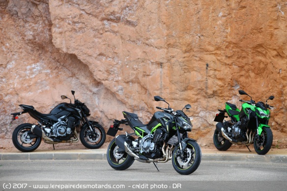 Coloris Kawasaki Z900
