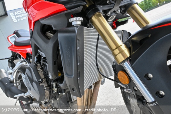 La fourche inversée de la QJMOTOR SRK 800