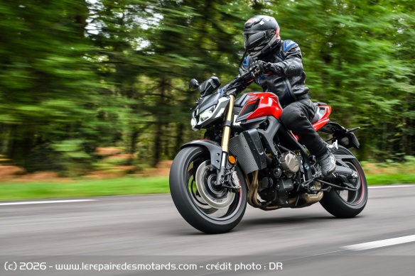 Agile et stable à la fois, la SRK 800 montre un visage très serein et s'appuie sur ses bases solides