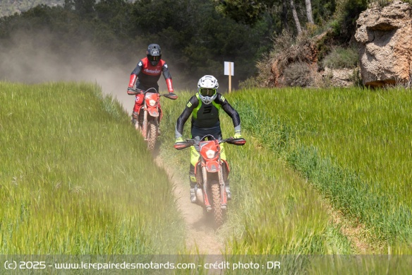 Facile et efficace, l'enduro Rieju se montre très convaincant sur le plan dynamique