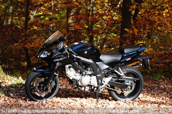 Sportive