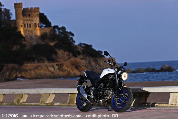 Suzuki SV 650 2016