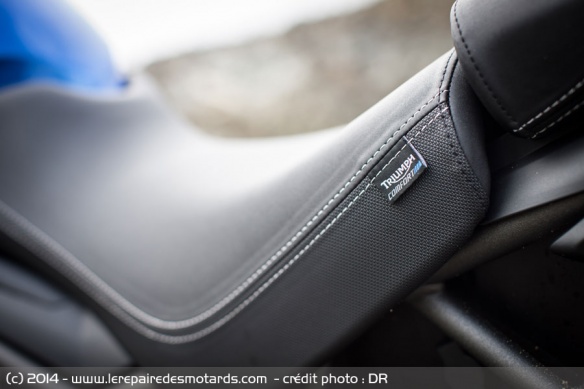 Selle Triumph Tiger XRx