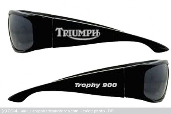 Lunettesà l'effigie de la Trophy, accessoires indispensables pour sortir à temps le Labrador !