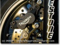 Triumph TT 600