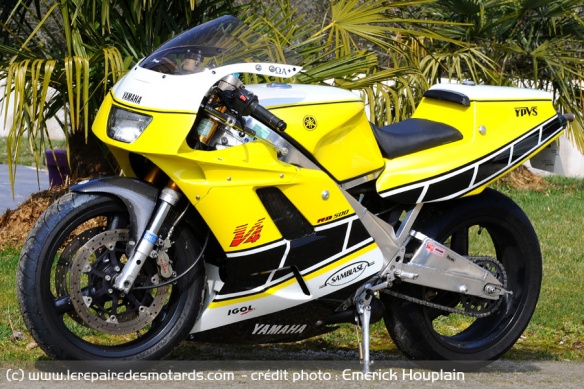 Yamaha Sambiase 500 
