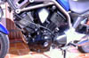 Bulldog7