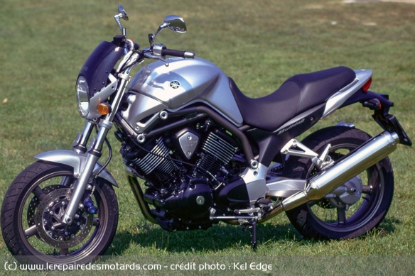Lancée en 2002, la Bulldog fut l'oeuvre de la filiale italienne de Yamaha