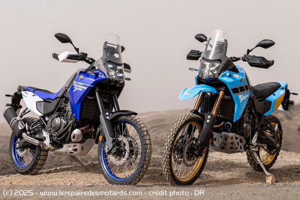 Les Yamaha Ténéré 700 et Ténéré 700 Rally