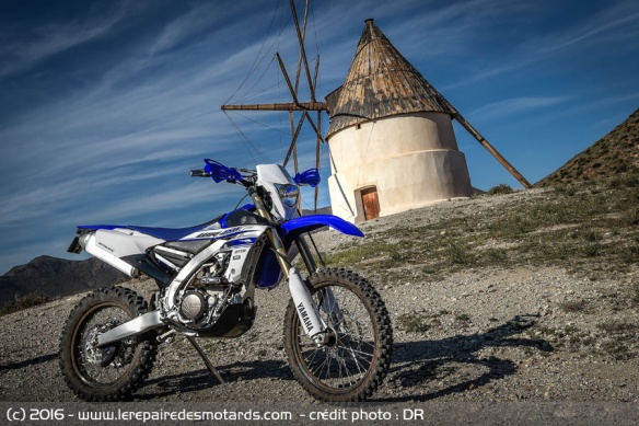 Yamaha 450 WR-F dans la garrigue