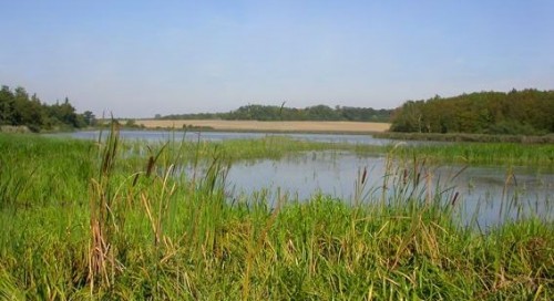 Petite balade mais sympa 