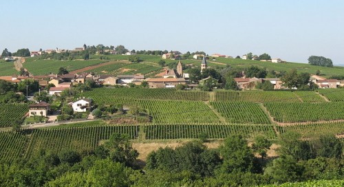 petite balade d'environs 3 heures 