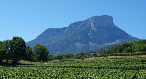 Passages de quelques cols et visite du mus�e a Apremont 