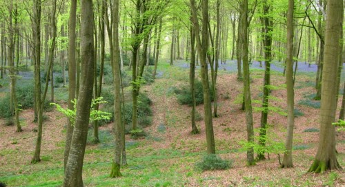 Balade en Picardie - Road book aller du 07 avril 