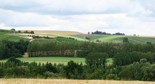 Autour de la maison du Parc naturel r�gional de la Montagne de Reims 