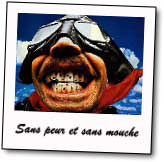 Les motards n'ont pas peur des mouches