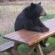 Nounours48