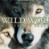 wild wolf