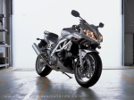 Suzuki SV 1000 modèle 2003