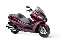 Honda Forza Z S-Matic Honda Forza Z S-Matic