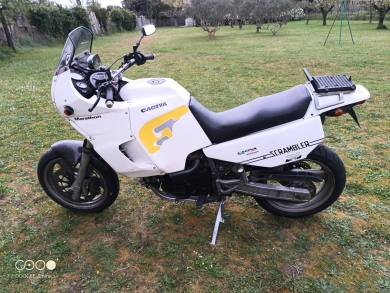 Petite annonce Particulier