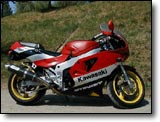 ZXR Stinger - Lionel D.