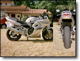 Bandit 1200 - Samuel L.