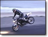 GSXR 1100 - David