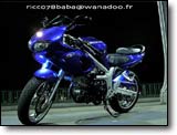 Suzuki SV 650 S - Cedric