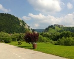 Chateaux de Joux