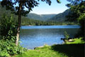 Les cols Vosges