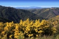 route Mimosa