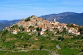 Baardo