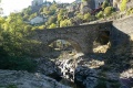 Cvennes Mont Aigoual