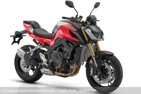 QJMOTOR SRK 800