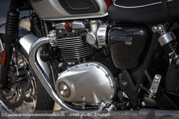 Le bicylindre de 1200 cm3 de la Bonneville T120