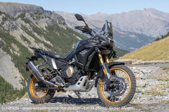 Le trail Voge DS800X Rally Le trail Voge DS800X Rally