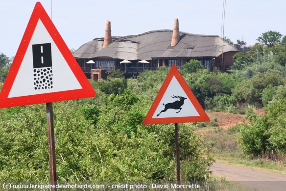 Attention ! traversée d'animal sauvage