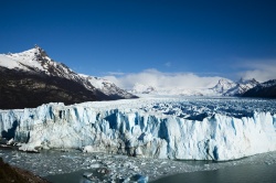 El calafate