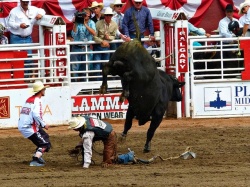 Stampede Calgary à Alberta au Canada