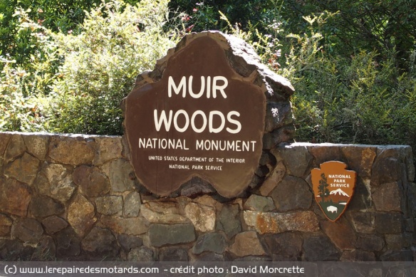 Parc national de Muir Woods