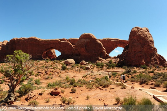 The Windows au sein du Parc national des Arches