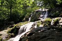 Parc national de shenandoah (Photo : DR)