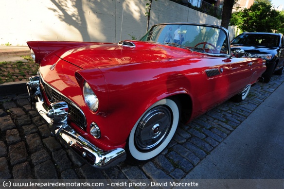 Thunderbird